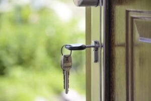 Key door locks that raccoon cannot open